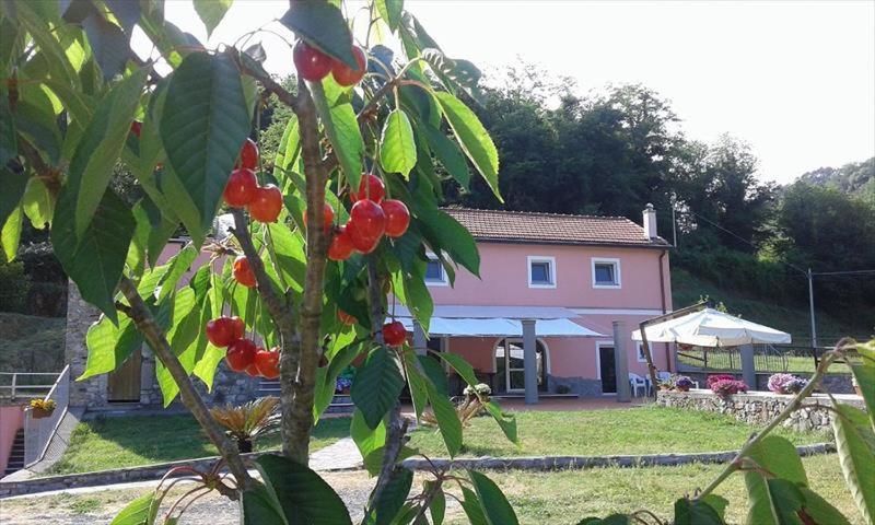 B&B La Casina Rosa La Spezia Valeriano Lunense Extérieur photo