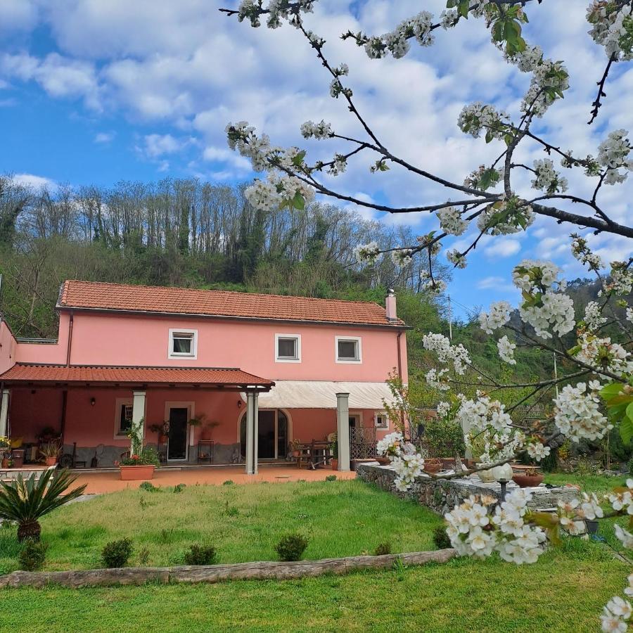 B&B La Casina Rosa La Spezia Valeriano Lunense Extérieur photo